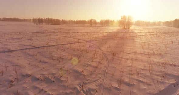 Aerial Drone View of Cold Winter Landscape with Arctic Field Trees Covered with Frost Snow and