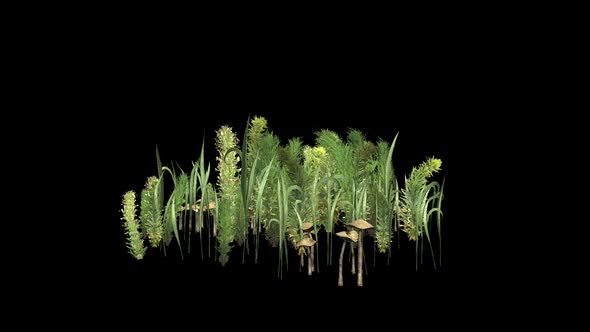 Mixed Green Tree alt