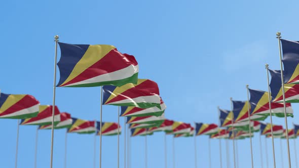 Seychelles Row Of Flags Animation