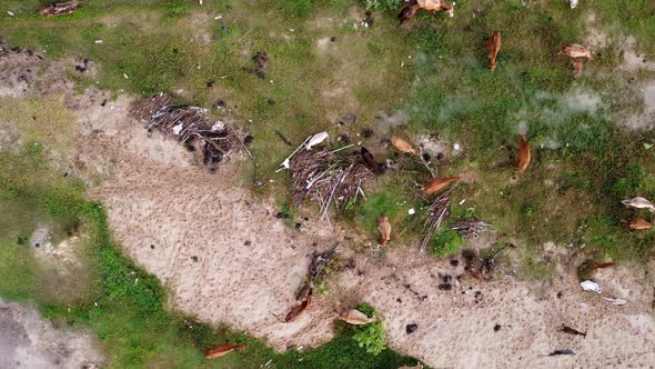 Aerial view cows searching food near rubbish garbage