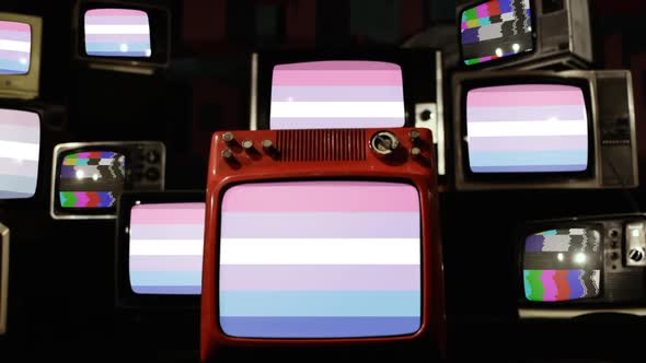 Bigender Pride Flags on Retro TVs.