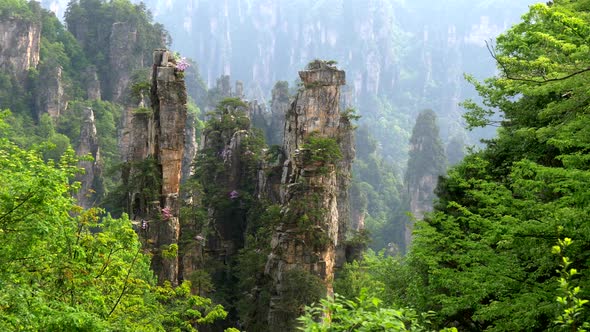 Vertical Cliffs in Avatar Mountains in Wulingyuan, Zhangjiajie, China. 