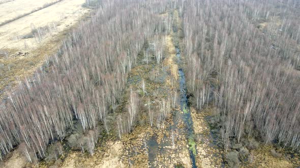 Marshes in Europe