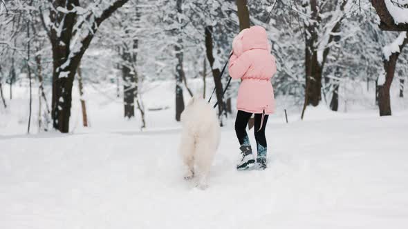 a Child with a Samoyed Dog