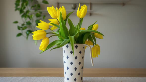 Faded Yellow Tulips In A Flower Vase Reviving Back To Life. zoom-in, hyperlapse