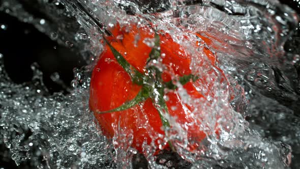 Super Slow Motion Shot of Rotating Whole Tomato and Splashing Water Isolated on Black at 1000Fps