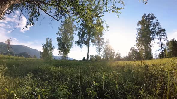 Sunny Rural Meadow at Mountain Landscape with Green Grass, Trees and Sun Rays. Diagonal Movement