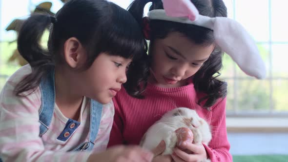 One little girl kiss white rabbit hold by her sister in living room during Easter holiday