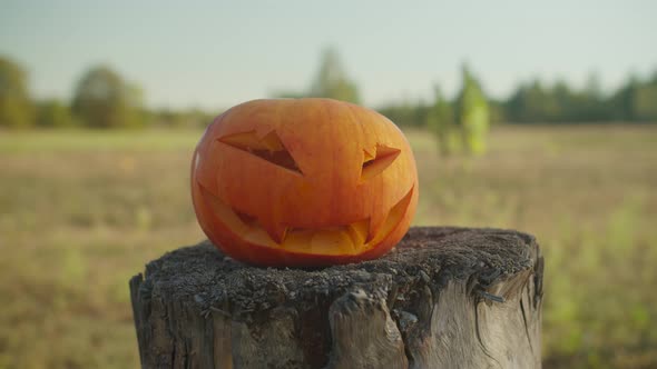 Bloody Chopping Axe Smashing Halloween Pumpkin