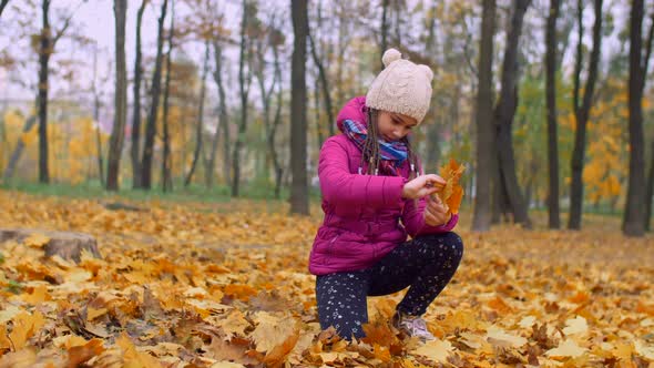 Adorable Girl Arranging Bouquet of Autumn Leaves