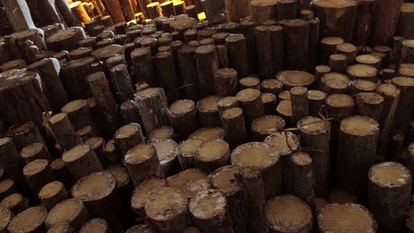 A Huge Warehouse of Wood Under the Open Sky