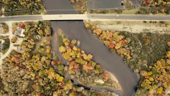 Autumn leaves. beautiful colors - pullout, birds eye view, topview - 4k - Drone - sequence 003/005