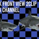 Shark Swim Forntview 2 Clip Alpha Loop - VideoHive Item for Sale
