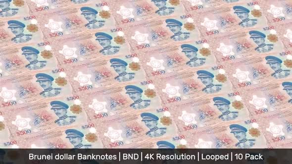 Brunei Banknotes Money / Brunei dollar / Currency $ / BND/ | 10 Pack | - 4K