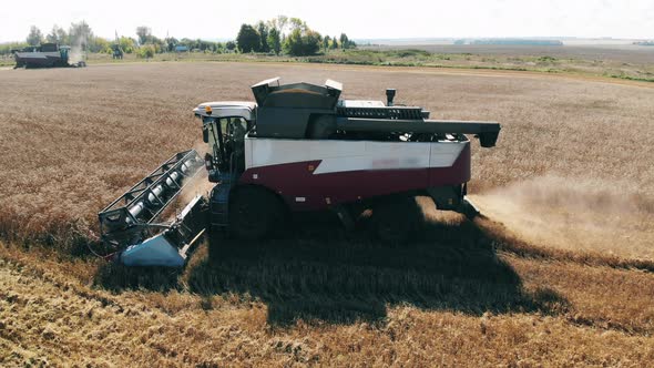 Industrial Vehicle Is Riding and Reaping Wheat