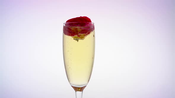 Glass of Champagne with a Rosebud. White Background