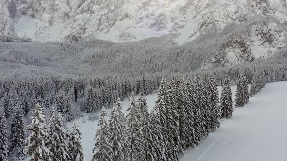 Winter landscape in the Italian Alps, Friuli Venezia Giulia