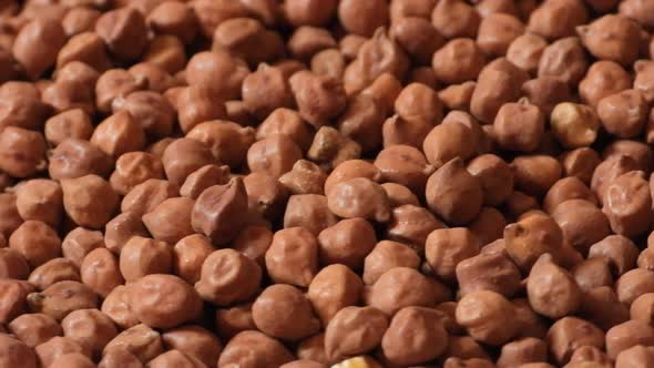 Brown Chickpea Grains