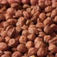 Brown Chickpea Grains - VideoHive Item for Sale