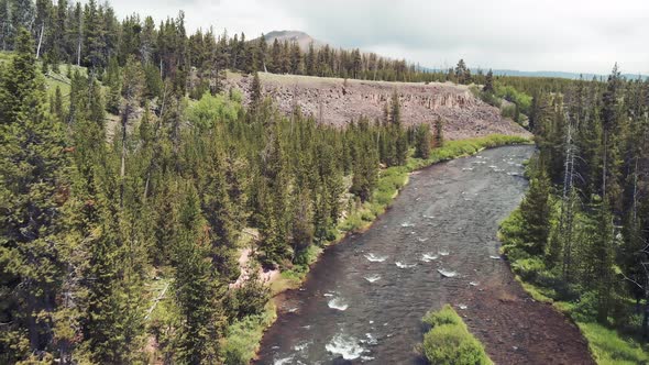 Yellowstone River in the Middle of the Forest on a Cloudy Day