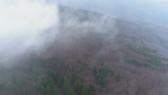 Morning Smoke-like White Fog Floating Above Forest in Cold Autumn Morning