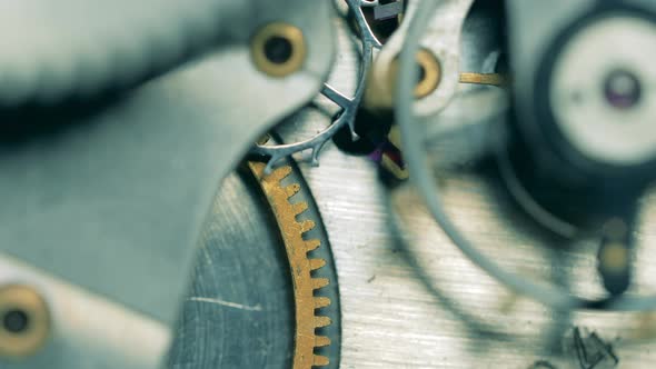 Detailed View of a Functioning Watch Mechanism