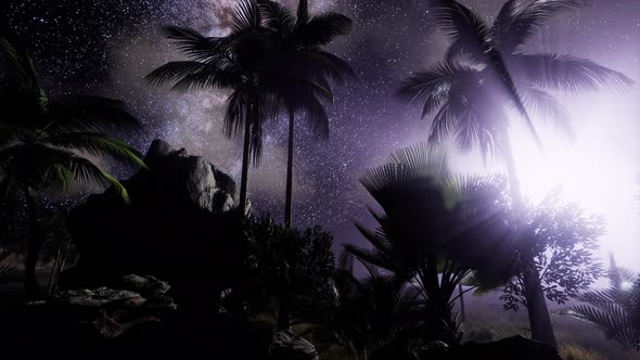  Astro of Milky Way Galaxy Over Tropical Rainforest.