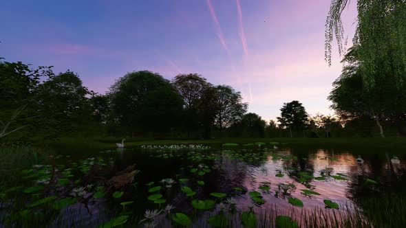 Evening Sunset Over Lake