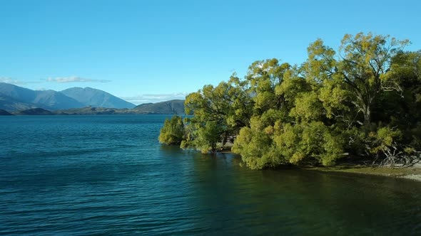 Pedestal shot - the scene starts with ducks swim in Lake Wanaka and ends in a wide shot of the lake