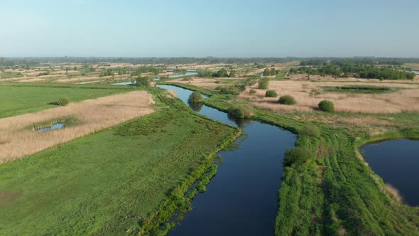 Tranquil Scenery Of Fields And Dutch Polder Near Weerribben, The Netherlands - aerial drone shot