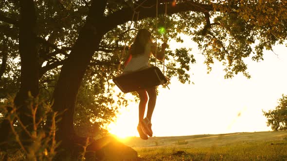 Child Rides a Rope Swing on an Oak Branch in Forest