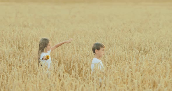 Pretty Girl with Long Hair is Walking Across the Field / Videohive