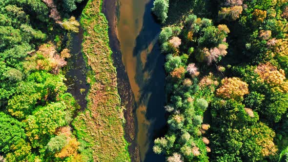 River and forest in sunny day, aerial view of Poland