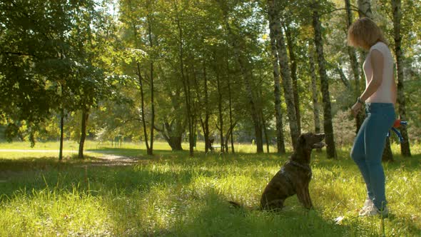 Dog handler training a dog in a park