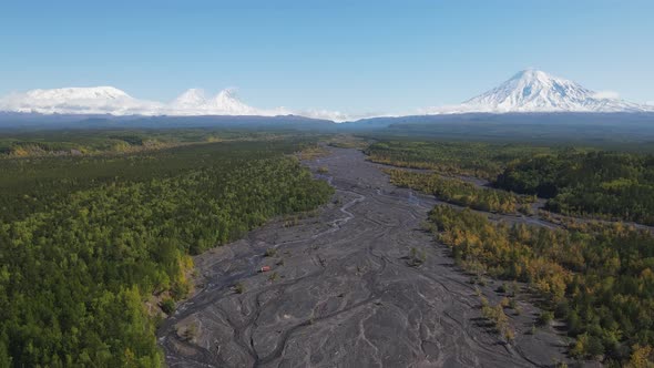 Forest and volcanoes covered with snow