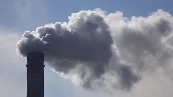 One Working Pipe in Plant From Which Steam Comes Out