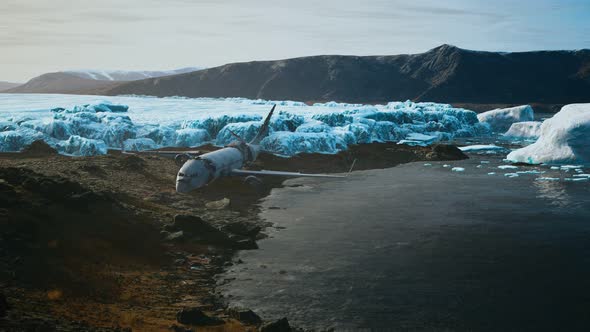 Old Broken Plane on the Beach of Iceland