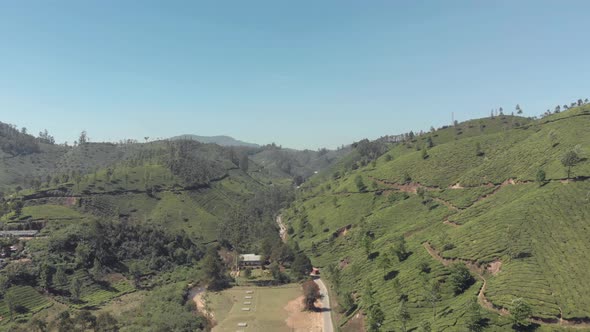 Rural path dividing the green lush hills and Tea plantations in Munnar, India