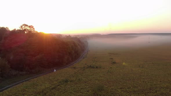 Field in the Evening Fog at Sunset. Two Newlyweds Are Walking Near the Field. Pink Sun Rays