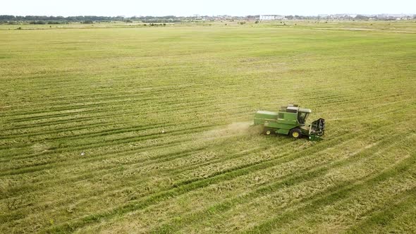Aerial view of combine harvester harvesting large ripe wheat field. Agriculture from drone view.