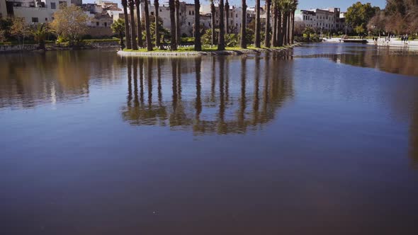 Isle Of Palm Trees In The Jnan Sbil Gardens