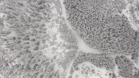 Flight Above Winter Forest in Austria Top View