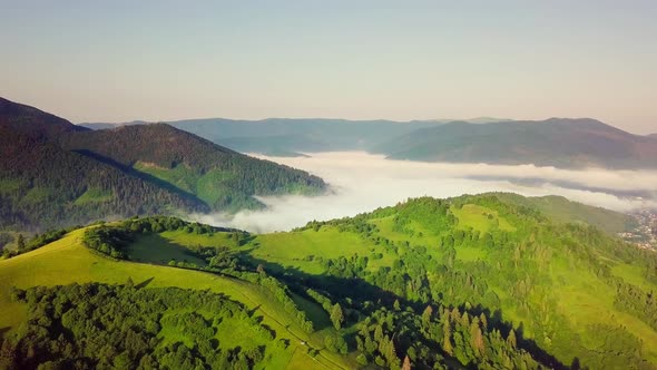 Aerial View of the Endless Lush Pastures of the Carpathian Expanses and Agricultural Land