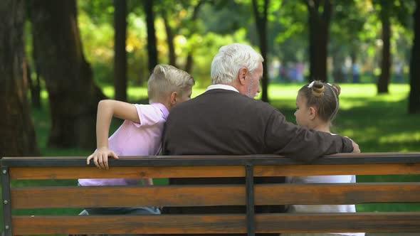 Little Kids Sharing Secrets With Grandfather Resting on Bench in Park, Back View