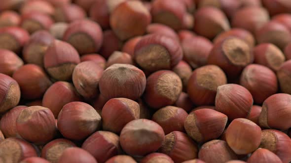 Looped Spinning Hazelnuts with the Shell Closeup Full Frame Background