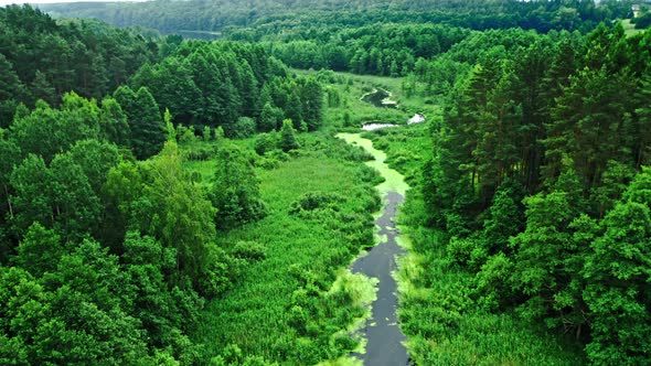 Aerial view of river and green algae in summer.