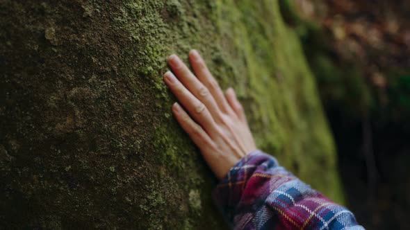 Close Up Selective Focus Travel Womans Hand Touching a Huge Stone with Green Moss