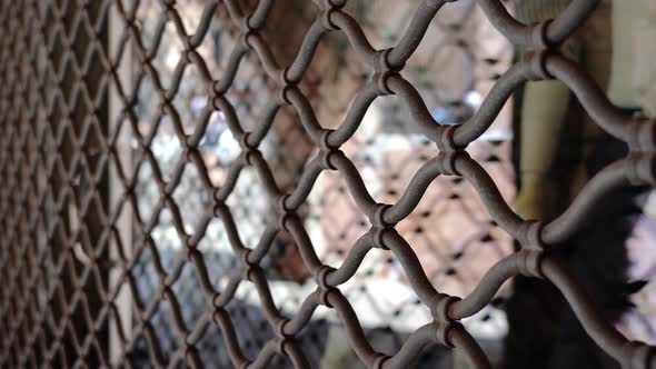 Shutter of the Closed Shop