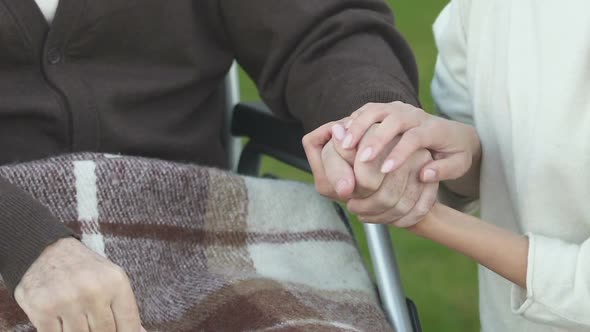 Woman Holding Hand of Patient in Wheelchair, Volunteer Program, Charity Concept
