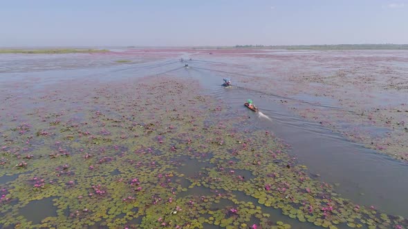 Flying over Red Lotus Lake